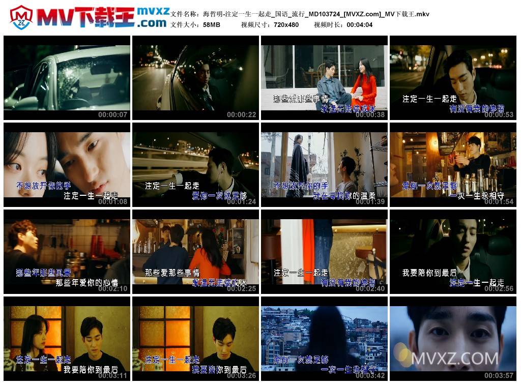 海哲明-注定一生一起走_国语_流行_MD103724